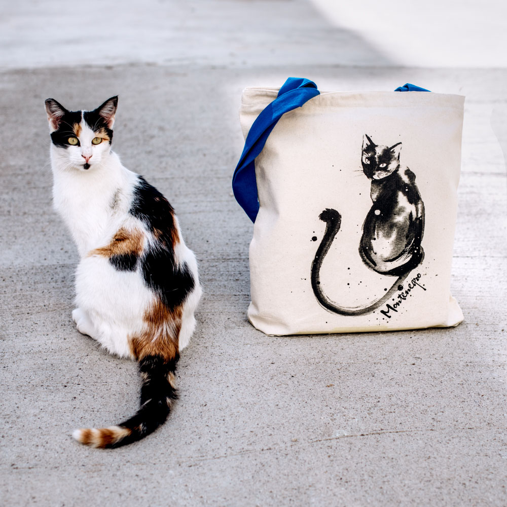 This image has an empty alt attribute; its file name is ZipperBagBlackCat.jpg